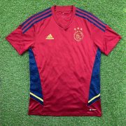 2022/2023 Training Shirt