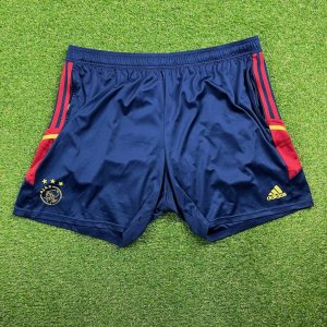 2022/2023 Training Shorts