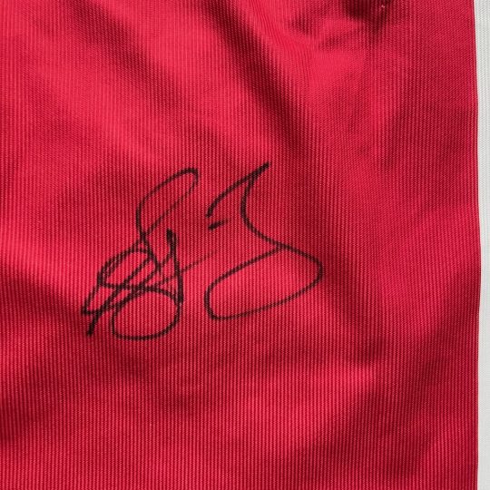 2002/2003 Matchworn Home #10 PIENAAR - Image 4
