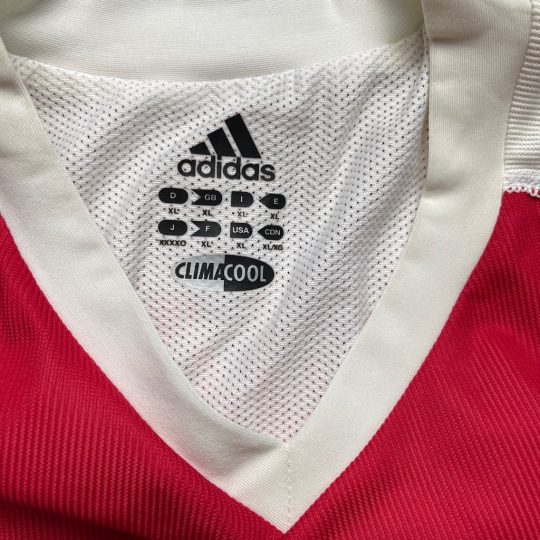 2002/2003 Matchworn Home #10 PIENAAR - Image 7