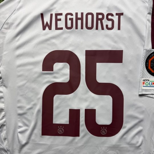 2024/2025 3de Shirt #25 WEGHORST - Afbeelding 3