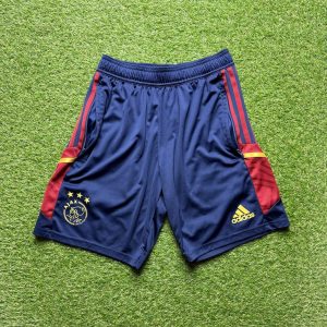 2022/2023 Training Shorts