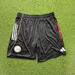 2025/2026 Training Shorts