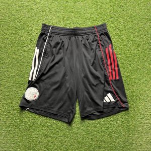 2025/2026 Training Shorts